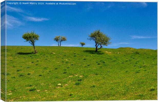 The lush green landscape close to the Besh Barmag (Five Finger) Mountain, Baku, Azerbaijan Canvas Print by Navin Mistry