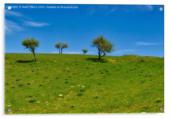 The lush green landscape close to the Besh Barmag (Five Finger) Mountain, Baku, Azerbaijan Acrylic by Navin Mistry