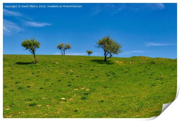 The lush green landscape close to the Besh Barmag (Five Finger) Mountain, Baku, Azerbaijan Print by Navin Mistry