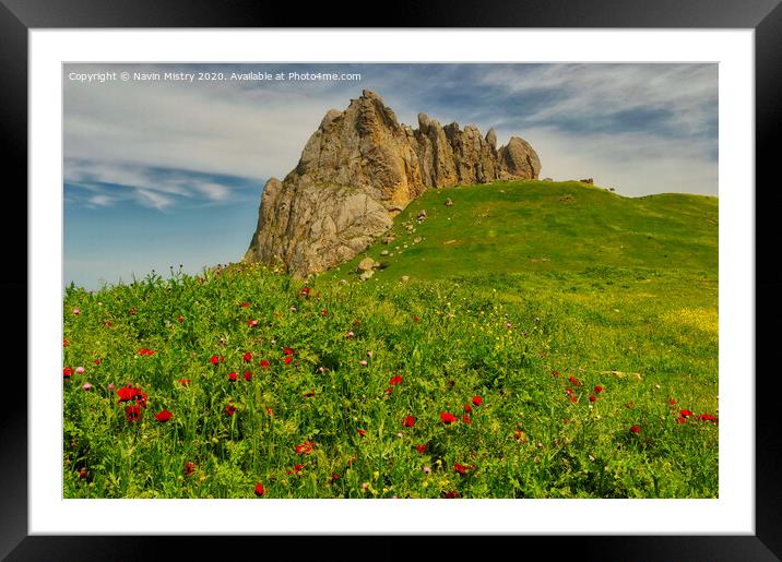 Wild Flowers in front of the Besh Barmag, Baku Framed Mounted Print by Navin Mistry