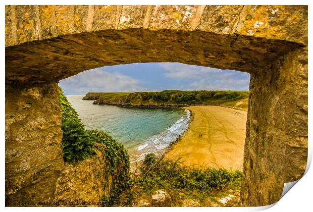 Through the Gate to Barafundle Bay. Print by Paddy Art