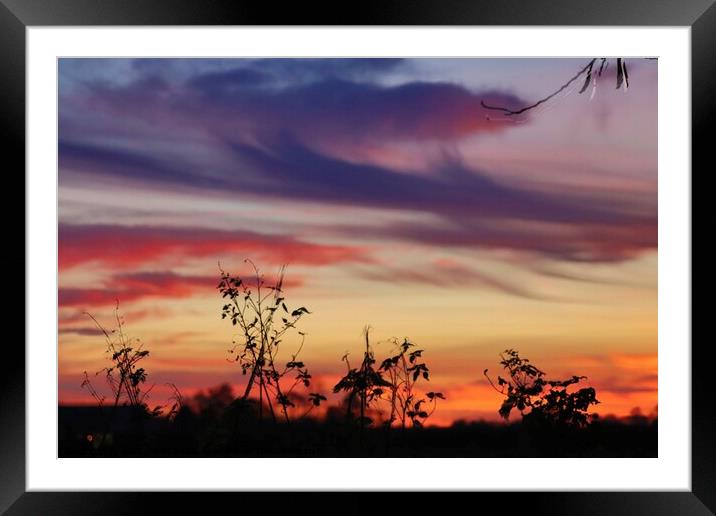 Beautiful sunset  Framed Mounted Print by Sam Owen