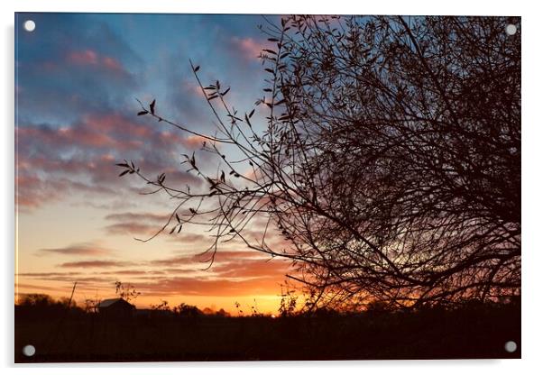 Beautiful sunset  Acrylic by Sam Owen