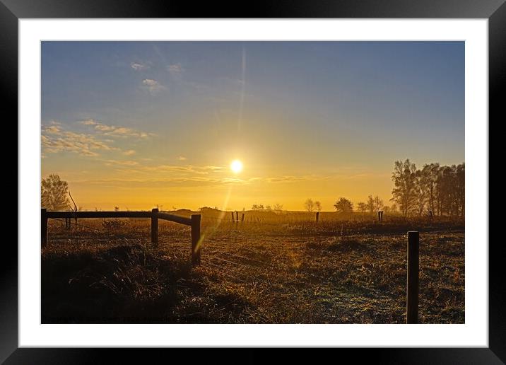 Roydon common sunrise  Framed Mounted Print by Sam Owen