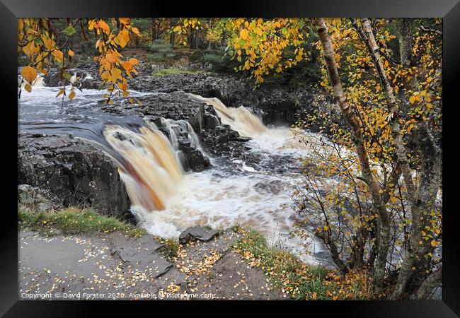 The River Tees Flowing Over Low Force in Autumn Viewed from the Pennine Way, Bowlees, Teesdale, County Durham, UK Framed Print by David Forster