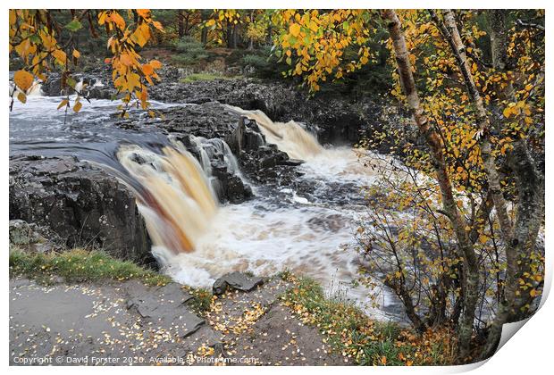 The River Tees Flowing Over Low Force in Autumn Viewed from the Pennine Way, Bowlees, Teesdale, County Durham, UK Print by David Forster