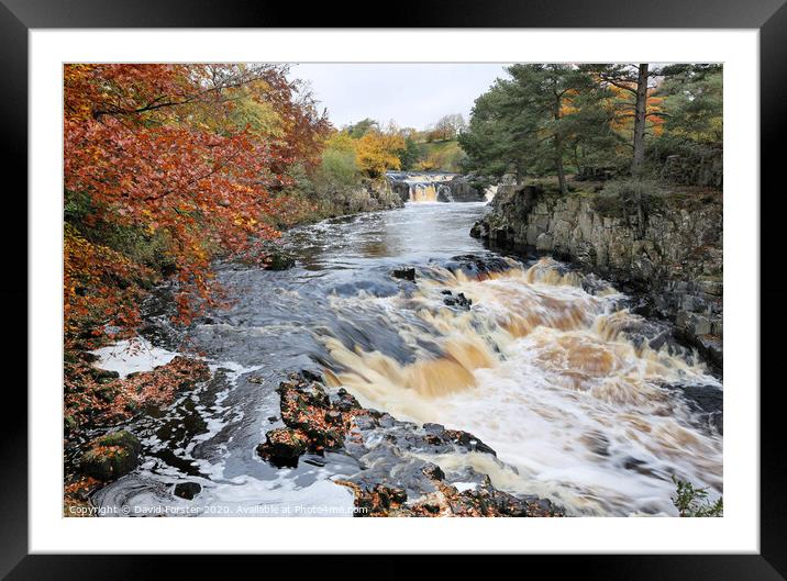 Low Force from the Pennine Way, Bowlees, Teesdale, County Durham, UK Framed Mounted Print by David Forster