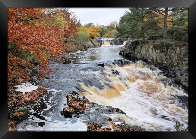 Low Force from the Pennine Way, Bowlees, Teesdale, County Durham, UK Framed Print by David Forster
