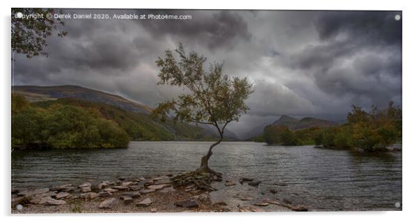 The Dramatic Lone Tree of Llyn Padarn Acrylic by Derek Daniel