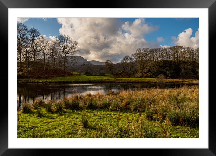Langdales from near Elterwater Cumbria III Framed Mounted Print by Michael Brookes