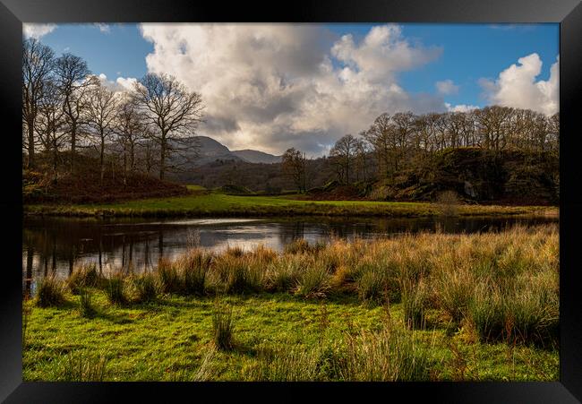 Langdales from near Elterwater Cumbria III Framed Print by Michael Brookes