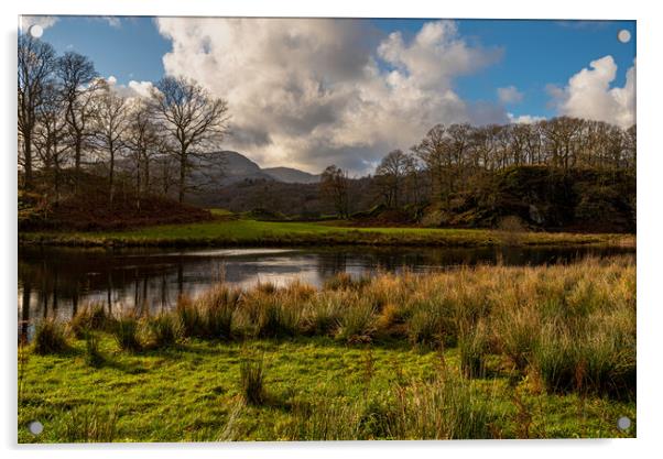 Langdales from near Elterwater Cumbria III Acrylic by Michael Brookes