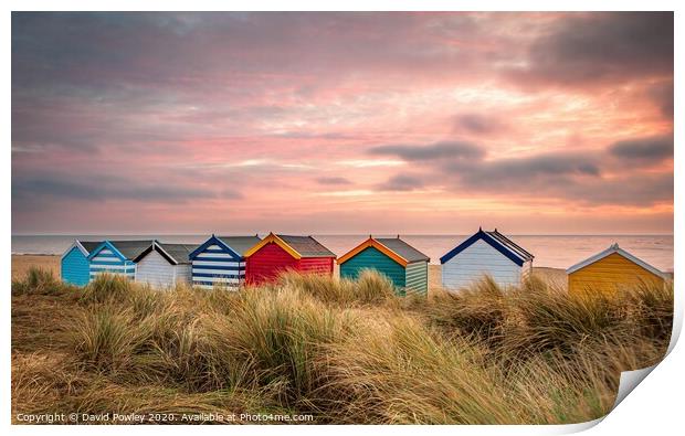 Southwold Beach Huts at Dawn Print by David Powley