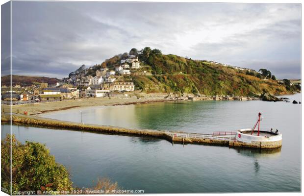 East Looe Canvas Print by Andrew Ray