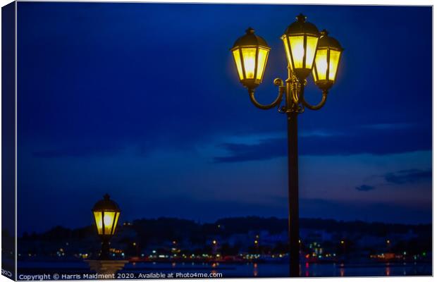 Lamplight Canvas Print by Harris Maidment