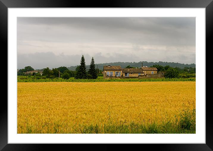 Colours of Provence Framed Mounted Print by Jacqi Elmslie