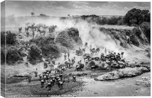 The Great Migration Canvas Print by Graham Prentice