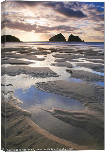 The Carters (Holywell Bay) Canvas Print by Andrew Ray