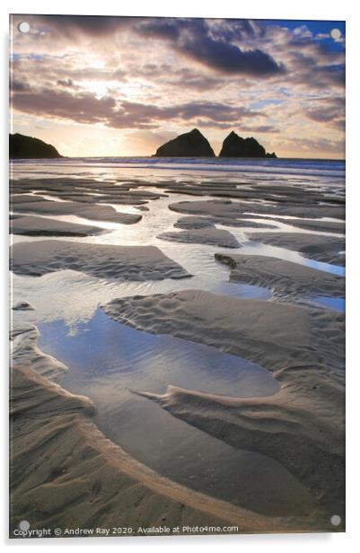 The Carters (Holywell Bay) Acrylic by Andrew Ray