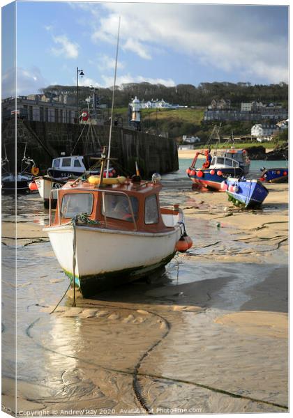 Boats at St Ives Canvas Print by Andrew Ray