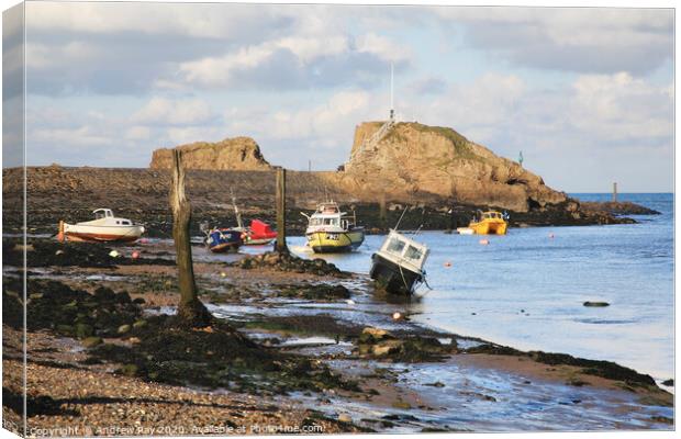Boats at Bude Canvas Print by Andrew Ray
