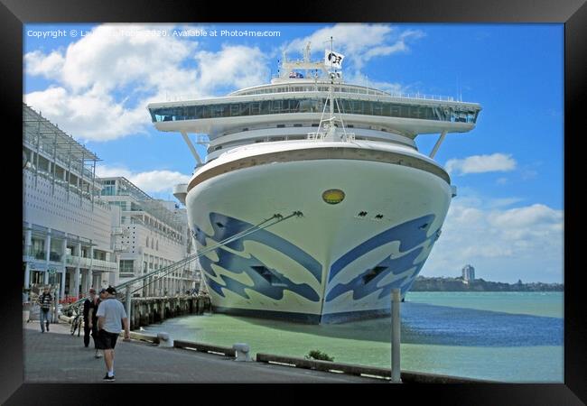 Sun Princess liner in Dock. Auckland, New Zealand Framed Print by Laurence Tobin