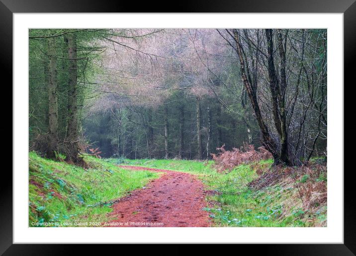 Colorful Winding Path at Dalby Forst with Winter Trees Framed Mounted Print by Lewis Gabell