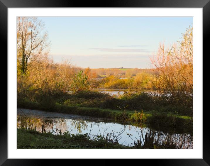 Somme river lakes Framed Mounted Print by Ann Biddlecombe