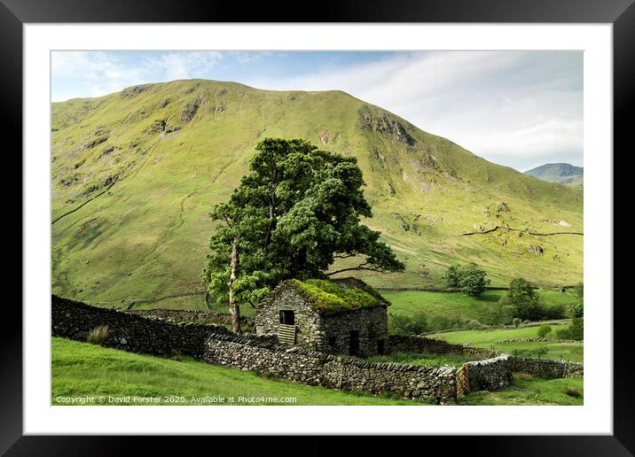 Traditional Old Stone Barn, Lake District, Cumbria, UK Framed Mounted Print by David Forster
