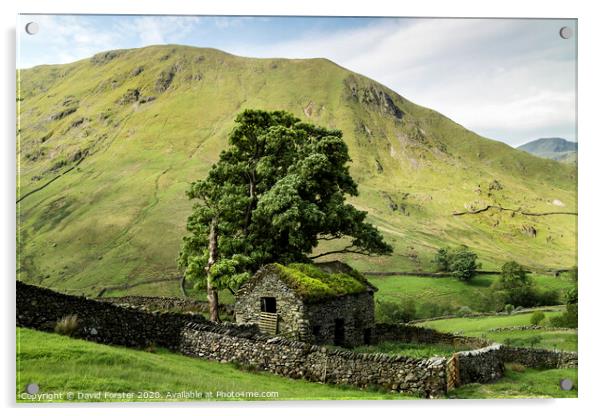 Traditional Old Stone Barn, Lake District, Cumbria, UK Acrylic by David Forster