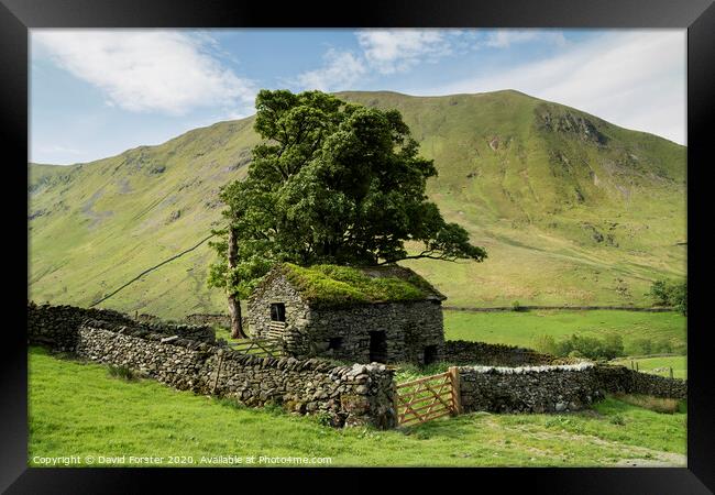 Traditional Old Stone Barn, Lake District, Cumbria, UK Framed Print by David Forster