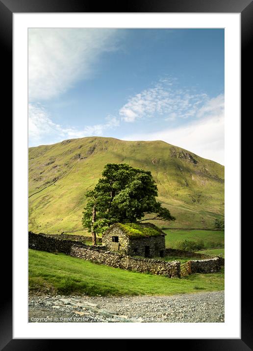 Traditional Old Stone Barn, Lake District, Cumbria, UK Framed Mounted Print by David Forster