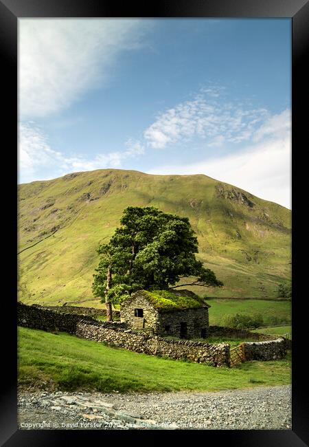 Traditional Old Stone Barn, Lake District, Cumbria, UK Framed Print by David Forster