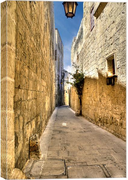 Narrow street in Malta  Canvas Print by David Stanforth