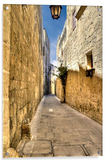 Narrow street in Malta  Acrylic by David Stanforth