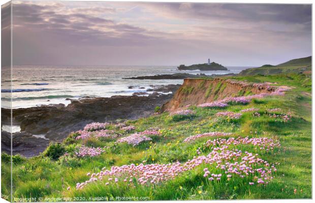 Spring at Godrevy Canvas Print by Andrew Ray