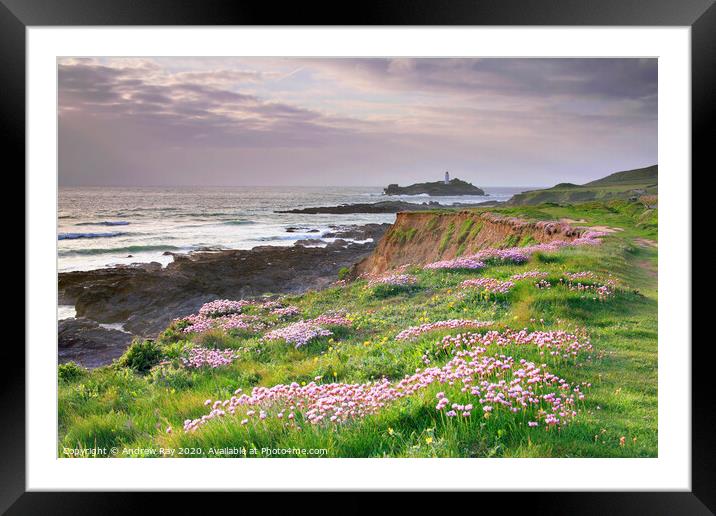 Spring at Godrevy Framed Mounted Print by Andrew Ray