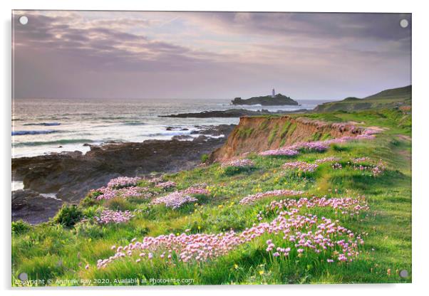 Spring at Godrevy Acrylic by Andrew Ray
