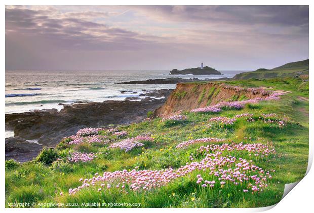 Spring at Godrevy Print by Andrew Ray