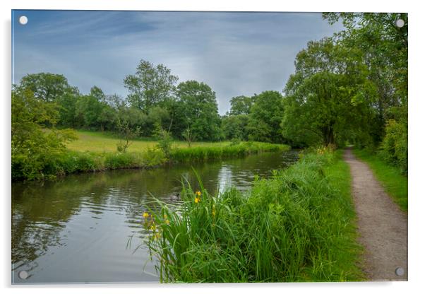 a river side walk in england  Acrylic by Eddie John
