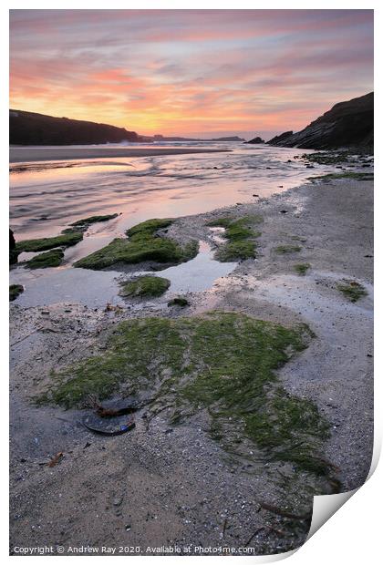 Porth Beach  Print by Andrew Ray