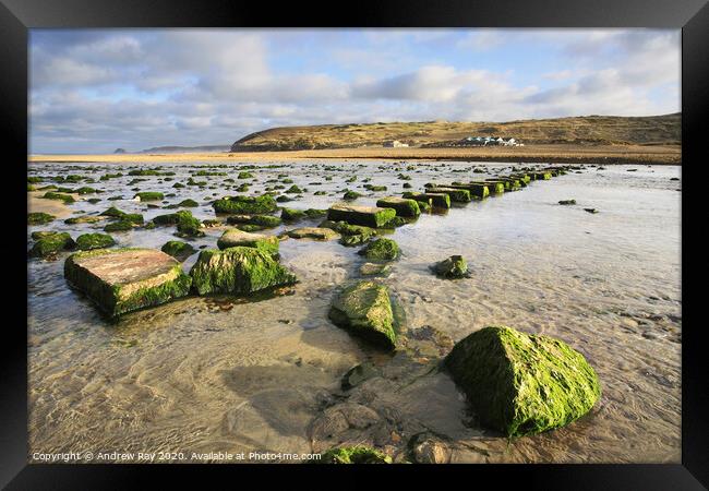 Across  the Stepping Stones (Perranporth) Framed Print by Andrew Ray