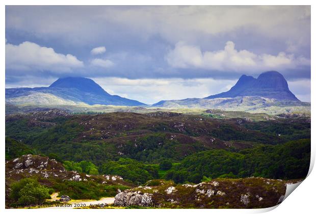 Canisp and Suilven Print by Steven Watson