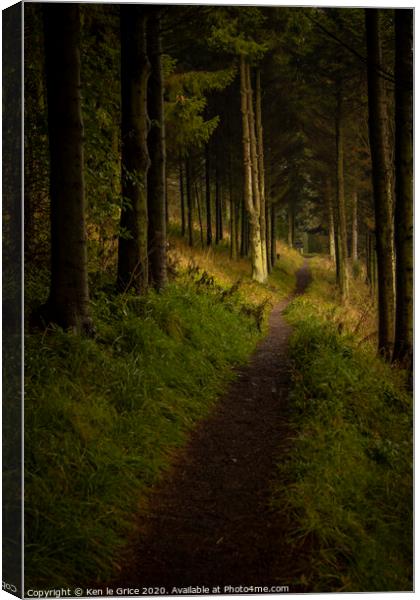Forest walk Canvas Print by Ken le Grice