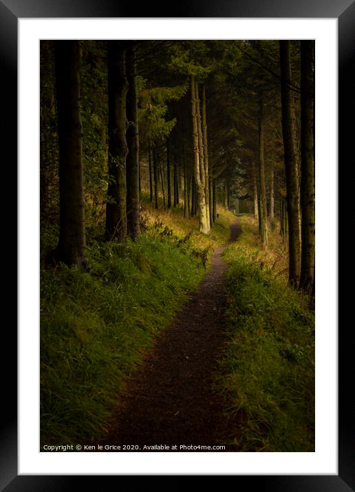 Forest walk Framed Mounted Print by Ken le Grice