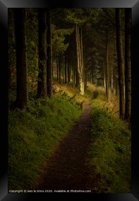 Forest walk Framed Print by Ken le Grice