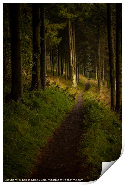 Forest walk Print by Ken le Grice