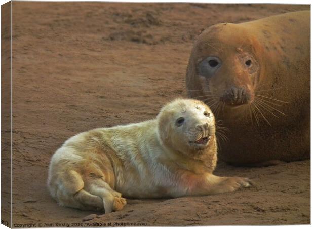 Seal and pup Canvas Print by Alan Kirkby