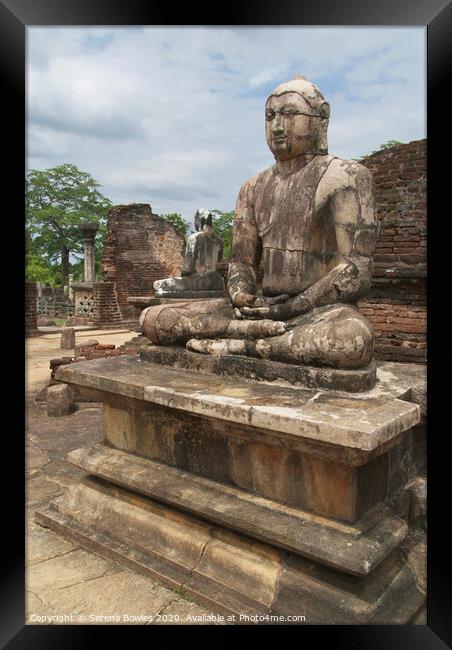 Buddha Statue Polonnaruwa Framed Print by Serena Bowles