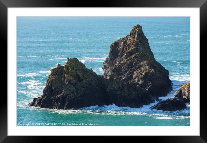Bishop and Gull Rock Framed Mounted Print by CHRIS BARNARD